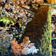 ヒメ日記 2026/04/10 22:36 投稿 ふうか 西川口おかあさん