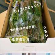 ふうか こんばんは🫧 西川口おかあさん