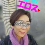 ヒメ日記 2024/12/29 15:13 投稿 しほ 池袋おかあさん