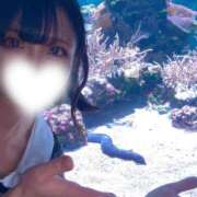 ヒメ日記 2025/09/17 22:44 投稿 つむぎ 沼津ハンパじゃない東京