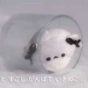 ヒメ日記 2026/04/01 23:12 投稿 藤沢ひとみ 色街SPA