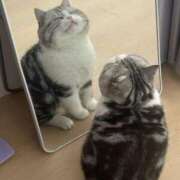 ヒメ日記 2025/01/14 15:18 投稿 れむ 白いぽっちゃりさん仙台店