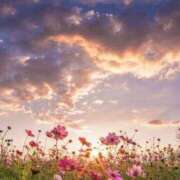 ヒメ日記 2025/02/15 13:21 投稿 れむ 白いぽっちゃりさん仙台店