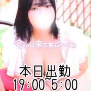 ヒメ日記 2025/05/09 16:28 投稿 れむ 白いぽっちゃりさん仙台店