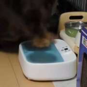 ヒメ日記 2025/09/08 18:30 投稿 あまね モアグループ小山人妻花壇