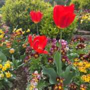 ヒメ日記 2025/04/15 22:25 投稿 さや(さや) ロケットワイフ