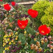 ヒメ日記 2025/04/23 21:20 投稿 さや(さや) ロケットワイフ