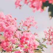 ヒメ日記 2025/03/11 10:39 投稿 さゆ 大垣羽島安八ちゃんこ