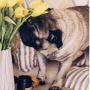 ヒメ日記 2025/04/20 12:58 投稿 さゆ 大垣羽島安八ちゃんこ