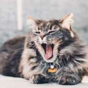 ヒメ日記 2025/05/08 15:30 投稿 さゆ 大垣羽島安八ちゃんこ