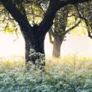 ヒメ日記 2025/07/24 10:18 投稿 さゆ 大垣羽島安八ちゃんこ