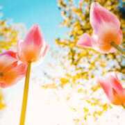 ヒメ日記 2025/07/28 10:47 投稿 さゆ 大垣羽島安八ちゃんこ