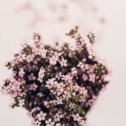 ヒメ日記 2025/08/07 14:11 投稿 さゆ 大垣羽島安八ちゃんこ