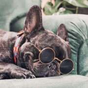 ヒメ日記 2025/08/12 11:24 投稿 さゆ 大垣羽島安八ちゃんこ