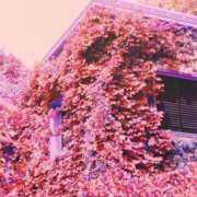 ヒメ日記 2025/10/21 12:15 投稿 さゆ 大垣羽島安八ちゃんこ