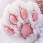 ヒメ日記 2025/10/27 18:16 投稿 さゆ 大垣羽島安八ちゃんこ