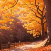 ヒメ日記 2025/11/11 13:29 投稿 さゆ 大垣羽島安八ちゃんこ