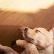 ヒメ日記 2026/01/02 23:42 投稿 さゆ 大垣羽島安八ちゃんこ