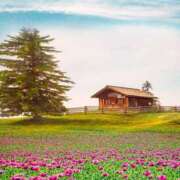 ヒメ日記 2026/01/02 23:46 投稿 さゆ 大垣羽島安八ちゃんこ