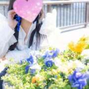 ヒメ日記 2025/04/13 03:19 投稿 律（りつ） 熟女の風俗最終章 大宮店