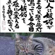 ヒメ日記 2026/02/26 13:35 投稿 律（りつ） 熟女の風俗最終章 大宮店