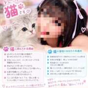 ヒメ日記 2026/09/14 23:55 投稿 律（りつ） 熟女の風俗最終章 大宮店