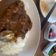 ヒメ日記 2025/11/08 14:04 投稿 ねね モアグループ小山人妻花壇