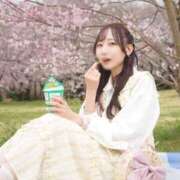 ヒメ日記 2025/04/14 06:05 投稿 あずさ Noble