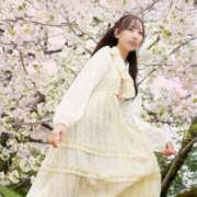 ヒメ日記 2025/04/15 12:25 投稿 あずさ Noble