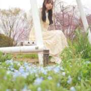 ヒメ日記 2025/05/06 00:25 投稿 あずさ Noble