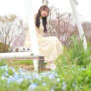 ヒメ日記 2025/06/24 07:45 投稿 あずさ Noble