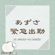 ヒメ日記 2025/11/14 14:05 投稿 あずさ Noble