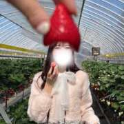 ヒメ日記 2026/03/31 23:05 投稿 あずさ Noble