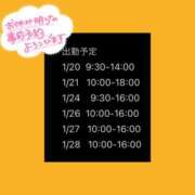 ヒメ日記 2024/01/15 20:00 投稿 わらび 11チャンネル