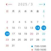 ヒメ日記 2025/03/13 10:00 投稿 わらび 11チャンネル