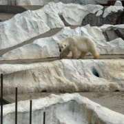 ヒメ日記 2025/03/15 17:14 投稿 わらび 11チャンネル