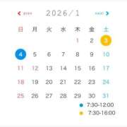 わらび 出勤予定🫶 11チャンネル