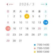 わらび 出勤予定💭 11チャンネル