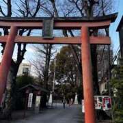 ヒメ日記 2026/03/26 16:49 投稿 わらび 11チャンネル