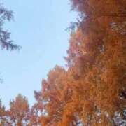 ヒメ日記 2024/12/26 19:24 投稿 杏虹【アコ】 輝女