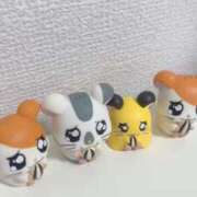 ヒメ日記 2025/02/18 12:45 投稿 杏虹【アコ】 輝女