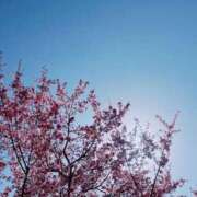 ヒメ日記 2025/03/16 11:21 投稿 杏虹【アコ】 輝女