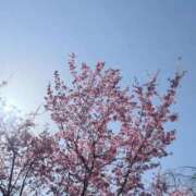 ヒメ日記 2025/04/05 19:11 投稿 杏虹【アコ】 輝女