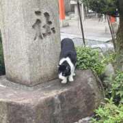 ヒメ日記 2025/04/07 20:43 投稿 杏虹【アコ】 輝女