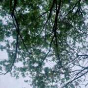 ヒメ日記 2025/04/14 15:50 投稿 杏虹【アコ】 輝女