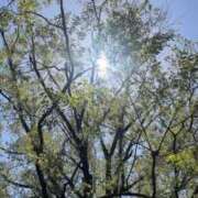 ヒメ日記 2025/04/17 18:46 投稿 杏虹【アコ】 輝女