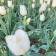 ヒメ日記 2025/04/18 19:49 投稿 杏虹【アコ】 輝女