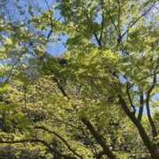 ヒメ日記 2025/04/19 15:33 投稿 杏虹【アコ】 輝女