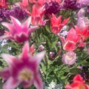 ヒメ日記 2025/04/22 20:58 投稿 杏虹【アコ】 輝女