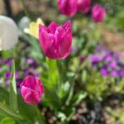 ヒメ日記 2025/04/24 18:07 投稿 杏虹【アコ】 輝女